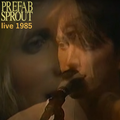 prefab sprout – live 1985, restored to stereo