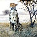 Mistah Cheetah - Good Vibes vol. 2 (Cant hold me down )