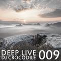 Deep Live 009 [deep house]