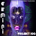 Shadow Gemini Projekt 199