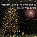 Freedom Calling The Unknown 13 by Jay Woodward