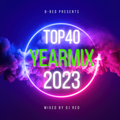 Yearmix 2023 (mixed by DJ RED)