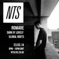 Dark n' Lovely Global Roots w/ Romare - 23rd March 2014