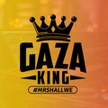CARIBBEAN SOUL RIDDIM 2020 (MAXIMUM SOUND)  PROMO MIX BY DJ GAZAKING THA ILLEST