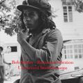 Bob Marley - Rastaman Vibration Unreleased Studio Sessions