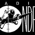 RADIO LONDRA (Roma) 28 Novembre 1993 (Sunday Rock-New wave) - DJ NINO SCARICO