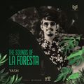 THE SOUNDS OF LA FORESTA EP32 - YASH