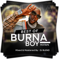 DJ BLEND - BEST OF BURNA BOY | BURNA BOY EXPERIENCE