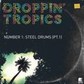 Droppin' Tropics (Number 1 - Steel Drums Pt.1)