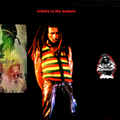 Bob Marley Star Dust Club Exeter,  England 6-24-76  SDB A+  SR Version