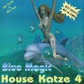 Blue Magic House Katze 4