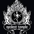 Burning Man 2020 Opulent Temple DJ Celeste Set - Friday Night