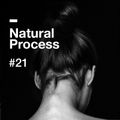 Natural Process #21