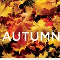 Best Of Chill Out Chart-2016 Autumn