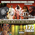 DJ Rob E Rob - Concrete Jungle: The NYC Resume
