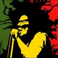 SALAT DJ - Reggae Roots Again