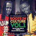 Roots IN Culture Vol 1. Selector Jnr B Meets Dj Raskull
