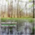 Smidex & Peter Provics (In the mix 01)