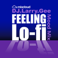 Feeling Lo-fi (Mood Mix)