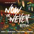 Now Or Never Riddim (trainline records 2018) Mixed By SELEKTA MELLOJAH FANATIC OF RIDDIM
