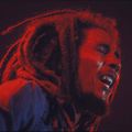 Bob Marley & The Wailers - 1975-06-27 - Boston Different Night