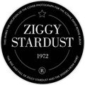 Ziggy Stardust & The Covers From Earth