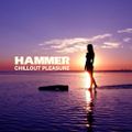 DJ Hammer - Chillout Pleasure 2010