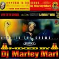 DJ MARLEY MARL - VYBE TO THE CROWD