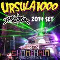 Ursula 1000's Shambhala 2014 Pagoda Set