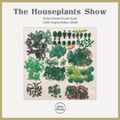 Houseplants (12/09/2020)