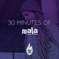 30 Minutes of Bass Education #5 - Mala
