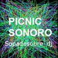 Sopadesobre_dj Picnic Sonoro 2021