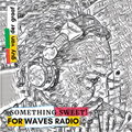 GUY VAN DER GRAAF for WAVES RADIO #23 - Something Sweet! (Club Edit)