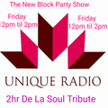 Block Party Show ft Bryan B - De La Soul Tribute 100317