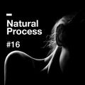 Natural Process #16