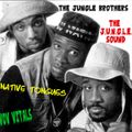 Villain Of Vinyl Vitals....Jungle Brothers (The Jungle Sound)