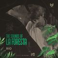 THE SOUNDS OF LA FORESTA EP15 - RIO