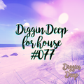 Diggin Deep #077 DJ Lady Duracell