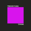 Test Pressing 340 / Trevor Fung