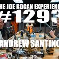 #1293 - Andrew Santino