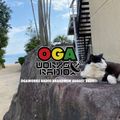 OGAWORKS RADIO BRAND NEW AUGUST 2021