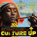 Big Tunes Volume 16 'Culture UP'