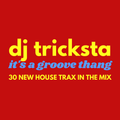 DJ Tricksta - It's A Groove Thang