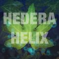 Hedera Helix Heals Humility