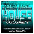 DJ Slik - Gotta Have House Vol. 1