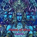 Visions Of Shiva