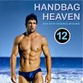 Handbag Heaven 12