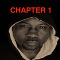 The Infamous Havoc Beat Chronicles - Chapter 1: Got Ur Speakers Shook