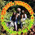 ISRAEL VIBRATION STRENGTH OF MY LIFE plus DUBS