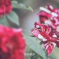 [ 迷你混音帶 ] MINI-MIXTAPE/ VOL.012 by Litro